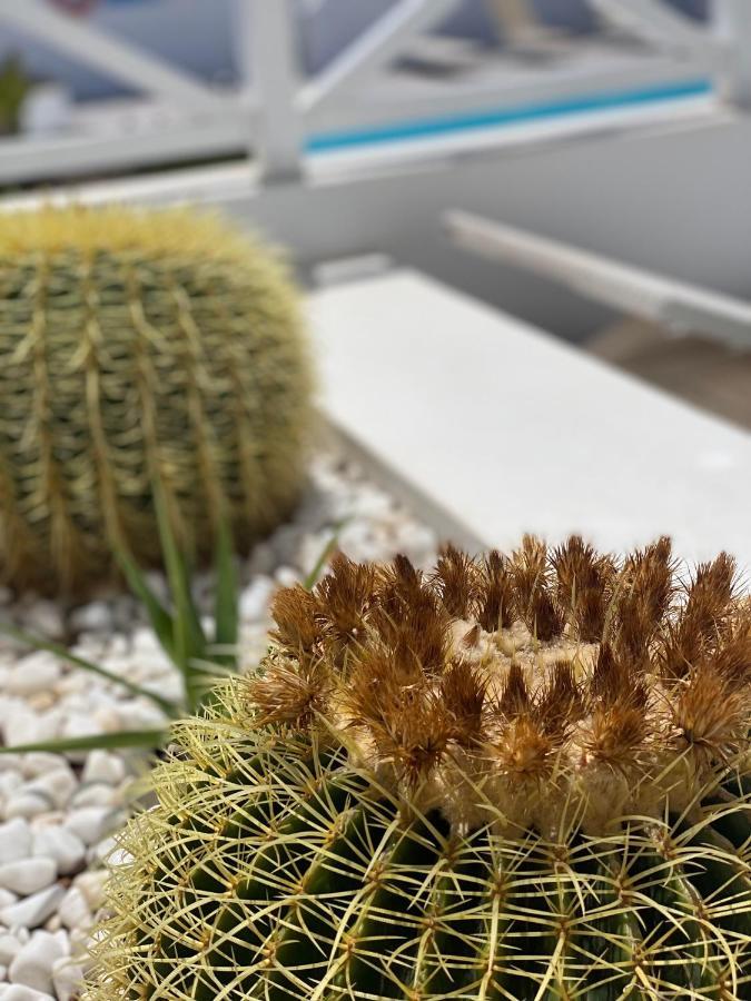 Flower Beach Deluxe Playa Honda  Bagian luar foto